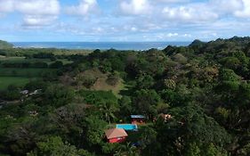 El nido rojo